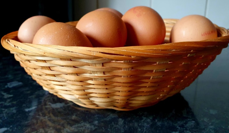 Honolulu Egg Prices Crack New Highs Amid Avian Influenza Outbreak on Mainland