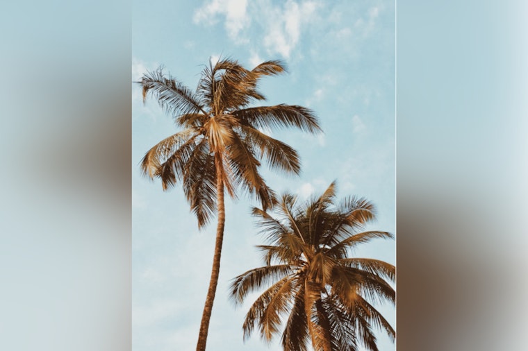 Honolulu Forecast Calls for Light Winds and Dry Pattern with Thunder Possible Early Next Week