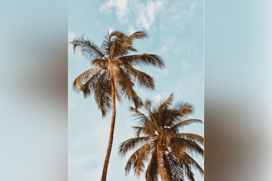 Honolulu Forecast Calls for Light Winds and Dry Pattern with Thunder Possible Early Next Week
