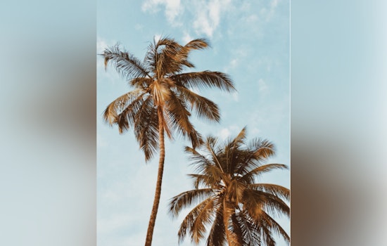 Honolulu Forecast Calls for Light Winds and Dry Pattern with Thunder Possible Early Next Week