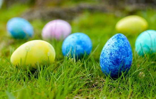 Hop Into Spring Fun at Folsom's Festival of Eggs – Egg Hunts, Pancake Breakfast, and More Awaits at Lembi Park