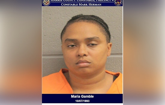 Houston Area Driver Charged with DWI After Traffic Stop Along Katy Freeway