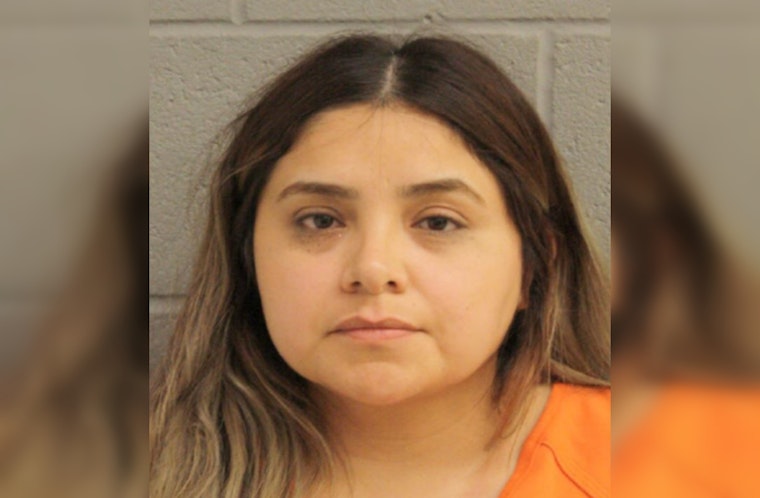 Houston Mother Charged with DWI While Transporting Children on Katy Freeway