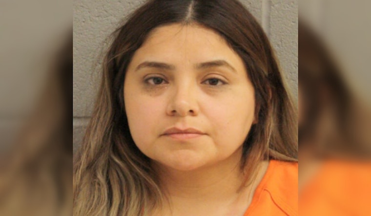 Houston Mother Charged with DWI While Transporting Children on Katy Freeway