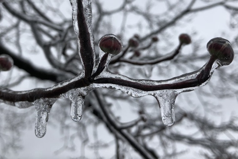 Indiana Residents Brace for Freeze Warning as Temperatures Plummet Overnight