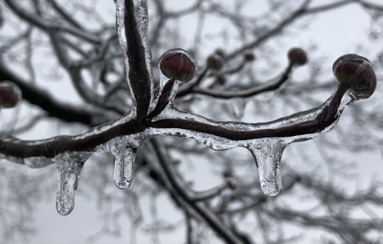 Indiana Residents Brace for Freeze Warning as Temperatures Plummet Overnight
