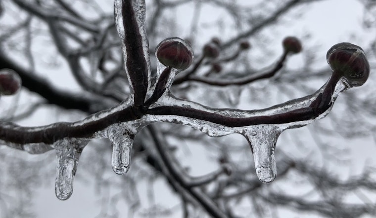 Indiana Residents Brace for Freeze Warning as Temperatures Plummet Overnight