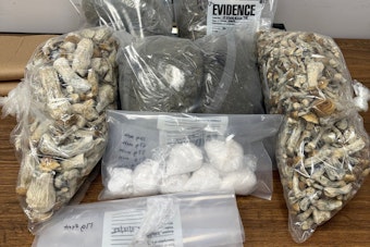 Indianapolis Police Seize Drugs and Firearms, Two Men Charged in Major Narcotics Bust