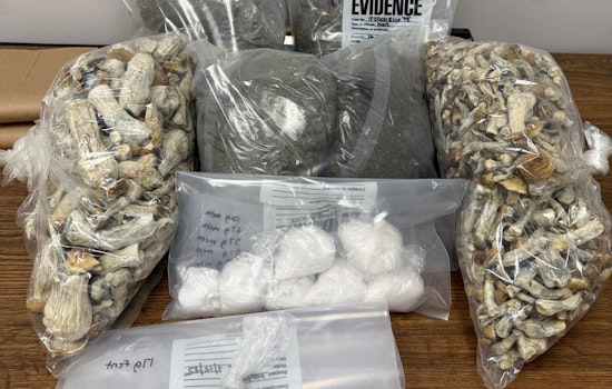 Indianapolis Police Seize Drugs and Firearms, Two Men Charged in Major Narcotics Bust