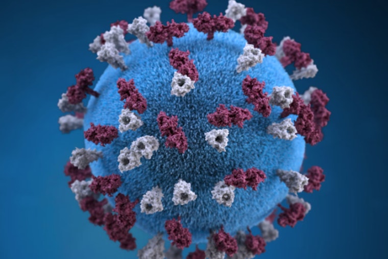 Ingham County Confirms First Measles Case Since 1994, Michigan Battles Fifth Outbreak This Year