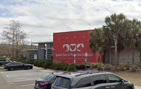 Jacksonville's ACPS Invites Community to Shelter Slumber Pawty for Animal Welfare