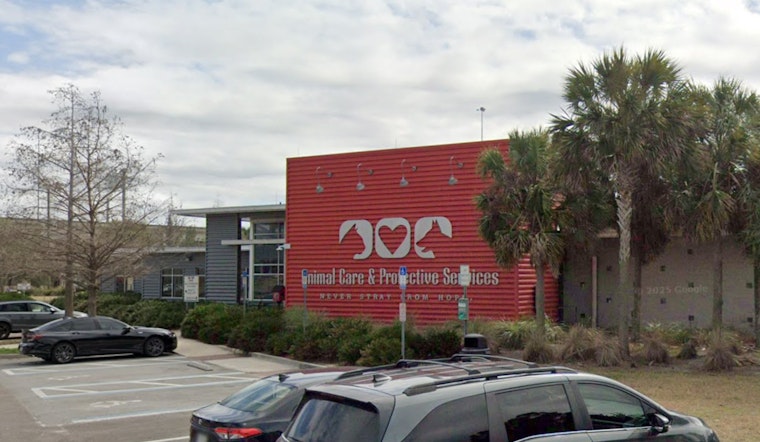 Jacksonville's ACPS Invites Community to Shelter Slumber Pawty for Animal Welfare