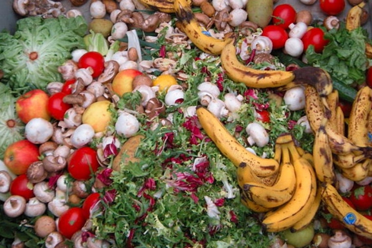Kalamazoo Launches Food Scrap Recycling Initiative to Tackle Organic Waste in Landfills