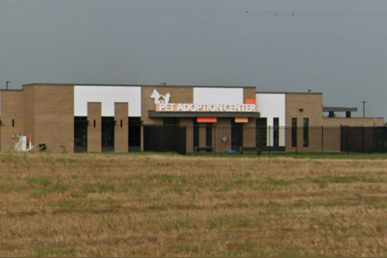 Kaufman County Pet Adoption Center Advisory Board to Discuss Operations and Future Projects