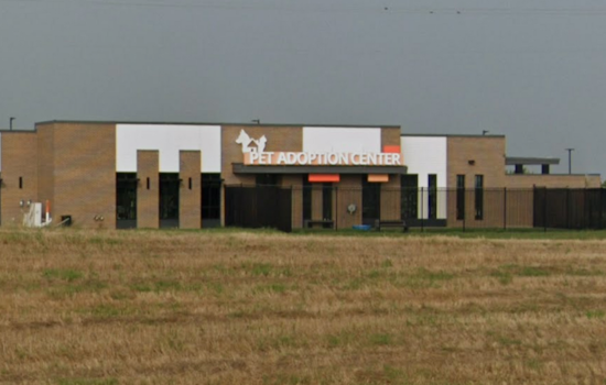Kaufman County Pet Adoption Center Advisory Board to Discuss Operations and Future Projects