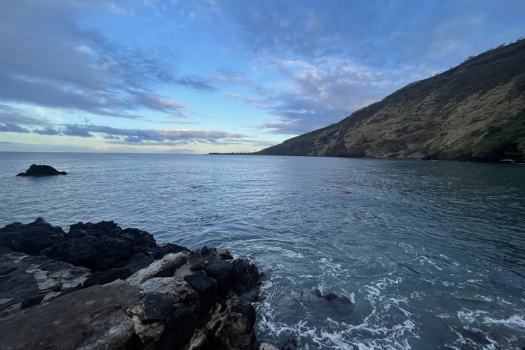 Kealakekua Bay Rallies Community for Invasive Species Removal to Protect Local Marine Life