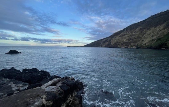Kealakekua Bay Rallies Community for Invasive Species Removal to Protect Local Marine Life