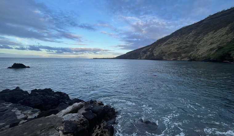 Kealakekua Bay Rallies Community for Invasive Species Removal to Protect Local Marine Life