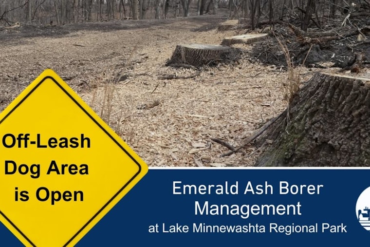 Lake Minnewashta's Dog Park Reopens with Upgrades After Emerald Ash Borer Clearing in Carver County
