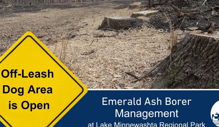Lake Minnewashta's Dog Park Reopens with Upgrades After Emerald Ash Borer Clearing in Carver County