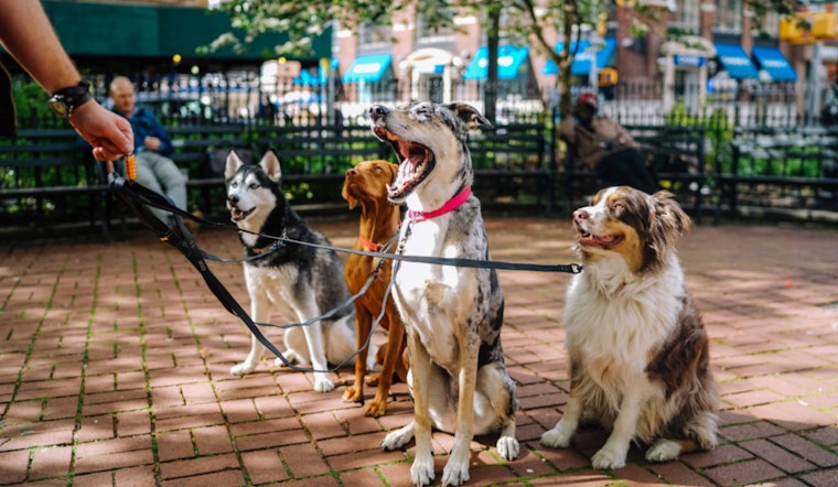 Lāna'i City Welcomes Four-Legged Friends: Fraser Avenue Dog Park Grand Opening on April 29