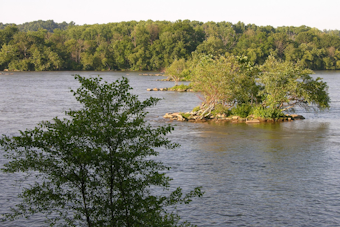 Lancaster City Resident April Wefler Found Dead in Susquehanna River, Investigation Underway