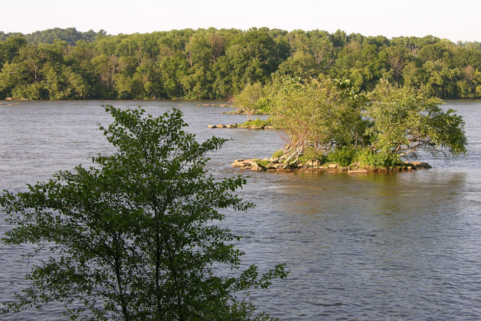 Lancaster City Resident April Wefler Found Dead in Susquehanna River, Investigation Underway