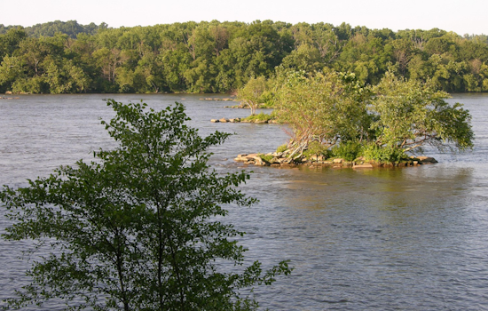 Lancaster City Resident April Wefler Found Dead in Susquehanna River, Investigation Underway