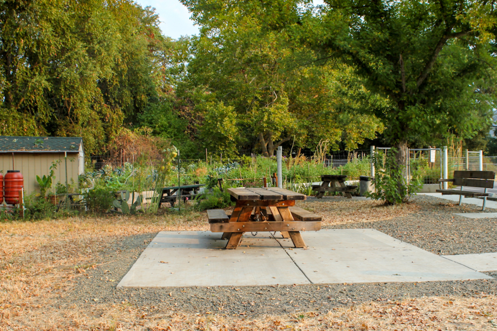 Larson Park in Boyes Hot Springs Set for $4 Million Revamp, Groundbreaking Set for April 2025
