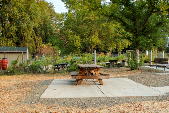 Larson Park in Boyes Hot Springs Set for $4 Million Revamp, Groundbreaking Set for April 2025