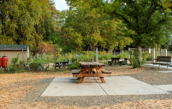 Larson Park in Boyes Hot Springs Set for $4 Million Revamp, Groundbreaking Set for April 2025