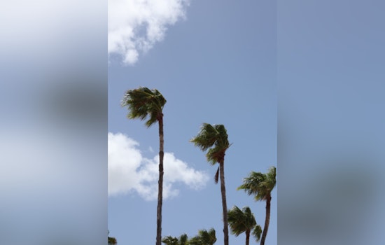 Las Vegas and Surrounding Areas Issued Wind Advisory Amidst Upcoming Gusty Weekend Conditions
