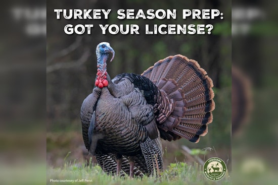 LDWF Sets Juvenile Turkey Harvesting Regulations, Highlights Youth Exceptions as Louisiana Season Approaches