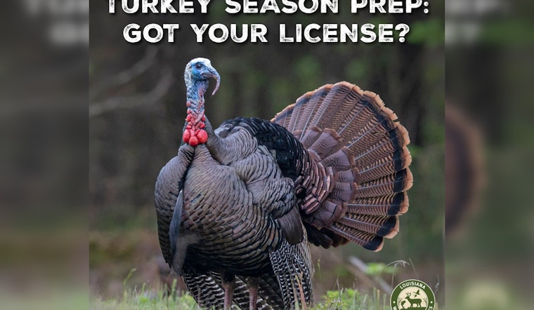 LDWF Sets Juvenile Turkey Harvesting Regulations, Highlights Youth Exceptions as Louisiana Season Approaches