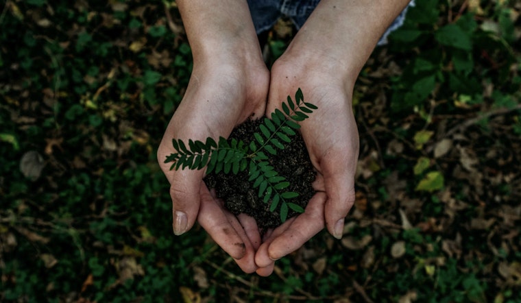 League City Celebrates Earth Day with Free Tree Giveaway on April 22