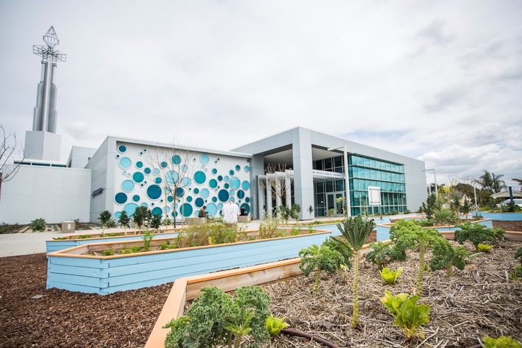 Long Beach Residents Invited to Share Vision for Michelle Obama Library Garden Revitalization