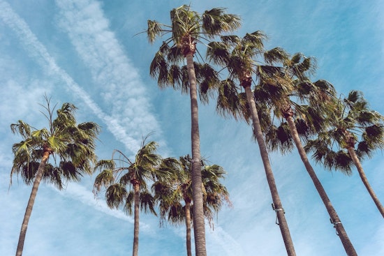 Los Angeles Anticipates a Week of Warmth and Clear Skies