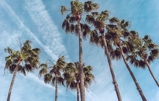 Los Angeles Anticipates a Week of Warmth and Clear Skies