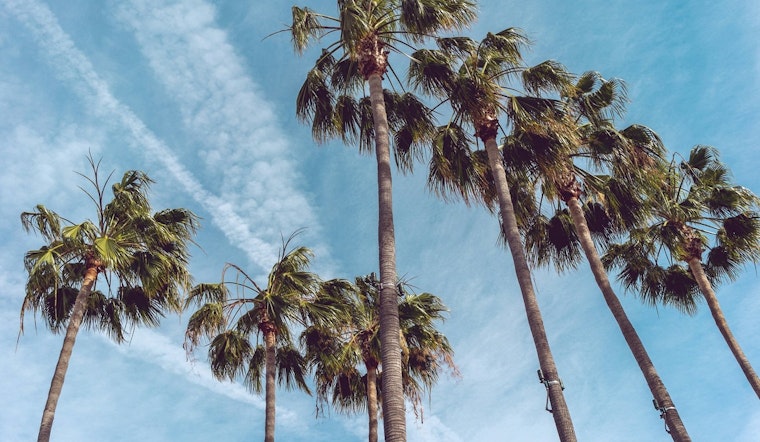 Los Angeles Anticipates a Week of Warmth and Clear Skies