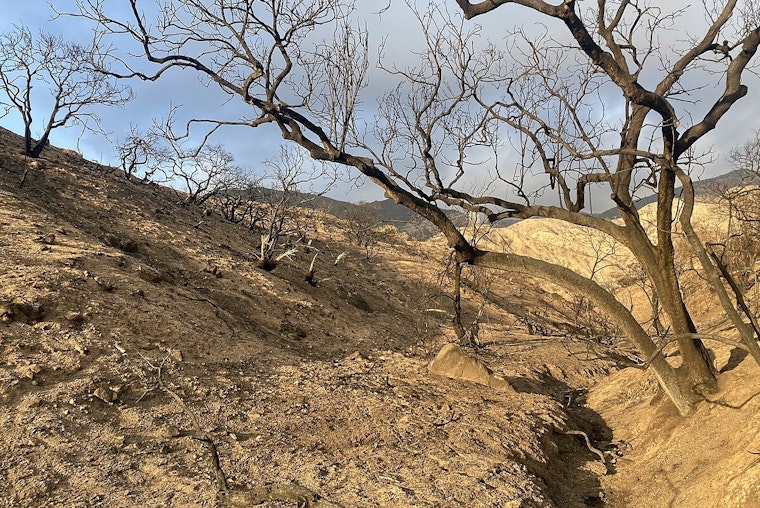 Los Angeles County Uncovers Elevated Lead Levels in Soil Post-Eaton Fire, Calls for Further Investigations
