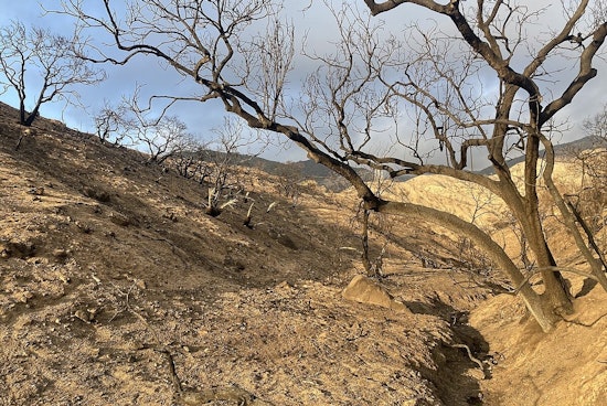 Los Angeles County Uncovers Elevated Lead Levels in Soil Post-Eaton Fire, Calls for Further Investigations