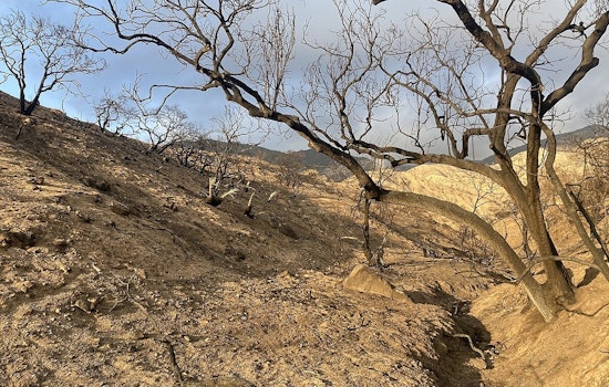 Los Angeles County Uncovers Elevated Lead Levels in Soil Post-Eaton Fire, Calls for Further Investigations