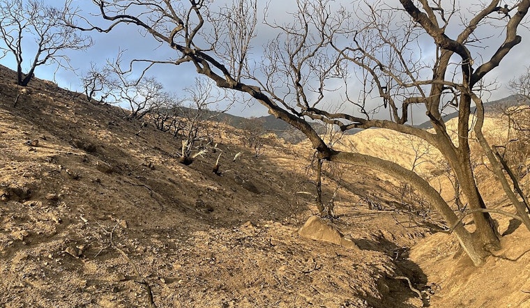 Los Angeles County Uncovers Elevated Lead Levels in Soil Post-Eaton Fire, Calls for Further Investigations
