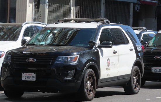 Los Angeles Police Investigate Potential Link Between Home Invasions in Sherman Oaks and Beverly Grove