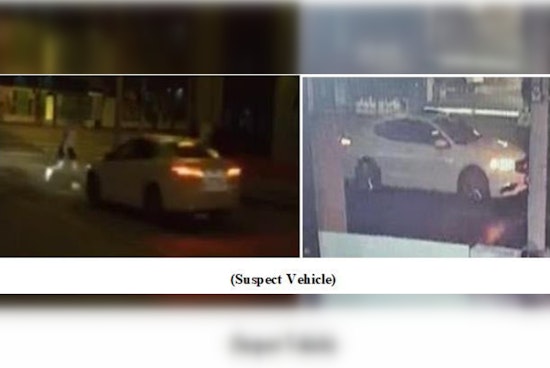 Los Angeles Police Seek Public's Help After Pedestrian Severely Injured