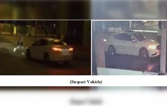 Los Angeles Police Seek Public's Help After Pedestrian Severely Injured