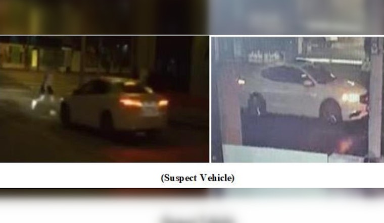 Los Angeles Police Seek Public's Help After Pedestrian Severely Injured