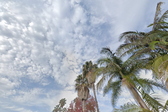 Los Angeles to Bask in Sunny Days Ahead with Cool, Foggy Nights, Says National Weather Service