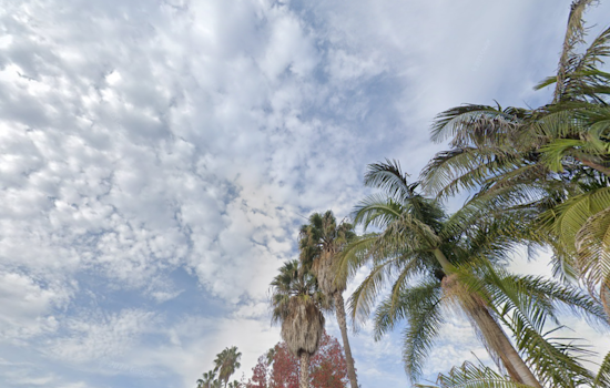 Los Angeles to Bask in Sunny Days Ahead with Cool, Foggy Nights, Says National Weather Service