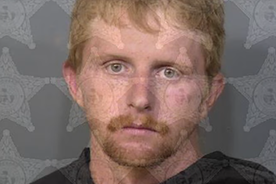 Man Charged with DUI Manslaughter After Fatal Pedestrian Collision in Titusville